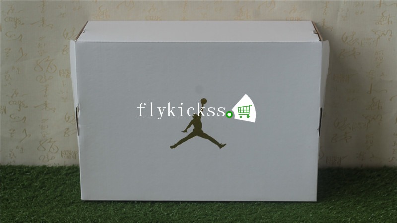 Authentic Air Jordan 13 Reptile GS